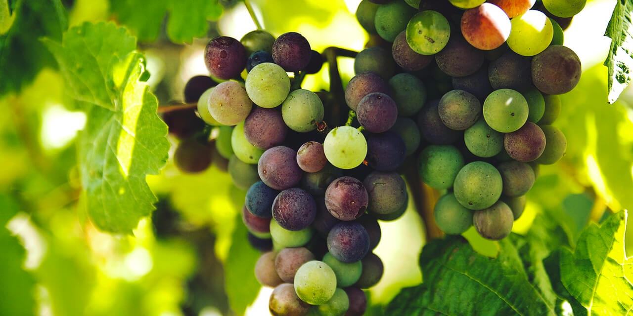 Menyediakan Layanan Kesehatan Primer di Rumah Sakit: Mendekatkan Pelayanan kepada Masyarakat